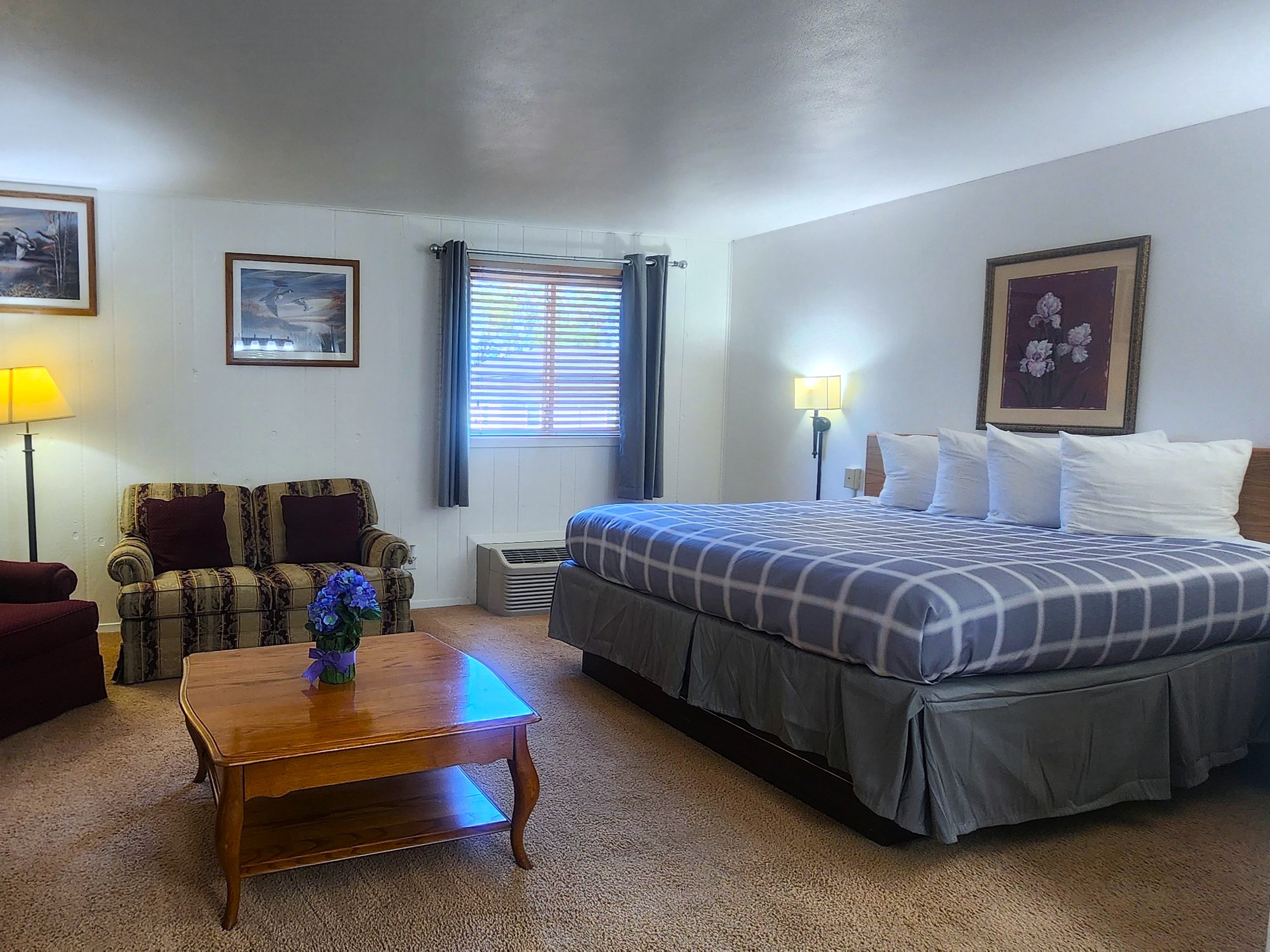 King Suite Room's Panoramic View